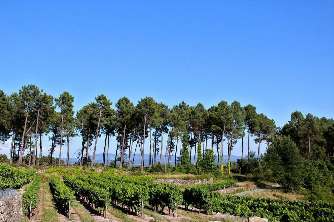Domaine Des Hauts De Vernon Vernon  Exterior photo